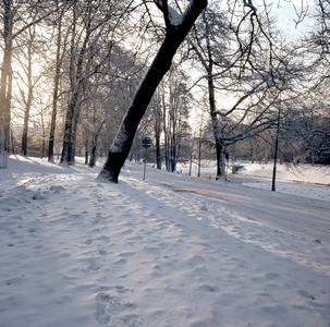 859519 Gezicht op het Geertebolwerk te Utrecht met op de achtergrond de Catharijnesingel.